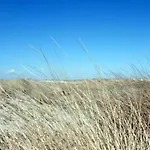 Haus-wind-sand-sterne-und-meer-whg-02-sand Appartement Böhl