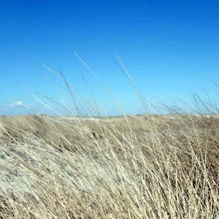 Haus-wind-sand-sterne-und-meer-whg-02-sand Appartamento Sankt Peter-Ording